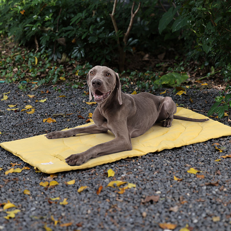เสื่อสัตว์เลี้ยงแบบพกพาพับได้อ - Outdoor Camping Mat Waterproof บทวิจารณ์และราคา