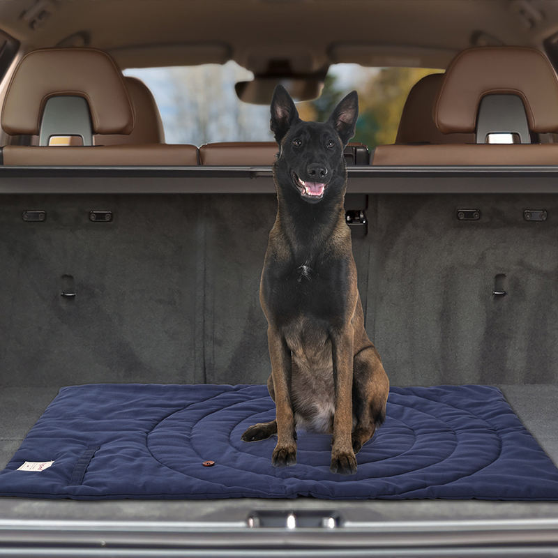 เสื่อสัตว์เลี้ยงแบบพกพาพับได้อ - Outdoor Camping Mat Waterproof บทวิจารณ์และราคา